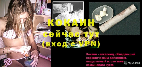 Альфа ПВП Аркадак