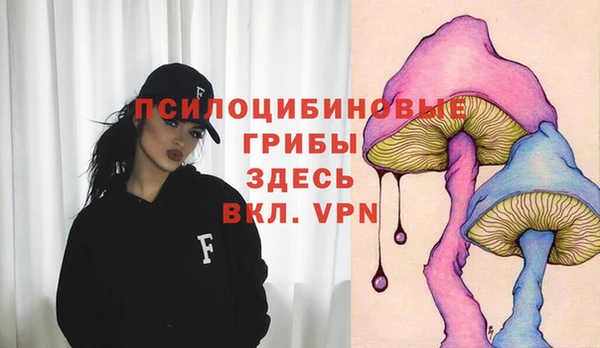 ПСИЛОЦИБИНОВЫЕ ГРИБЫ Арсеньев
