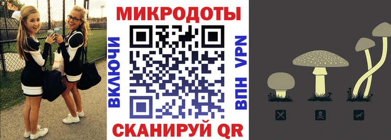 Галлюциногенные грибы Psilocybine cubensis  MEGA tor  Электрогорск 